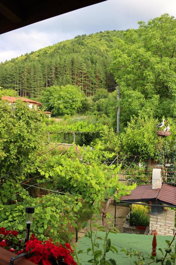 Green House - Попниколови Saparewa Banja Exterior foto