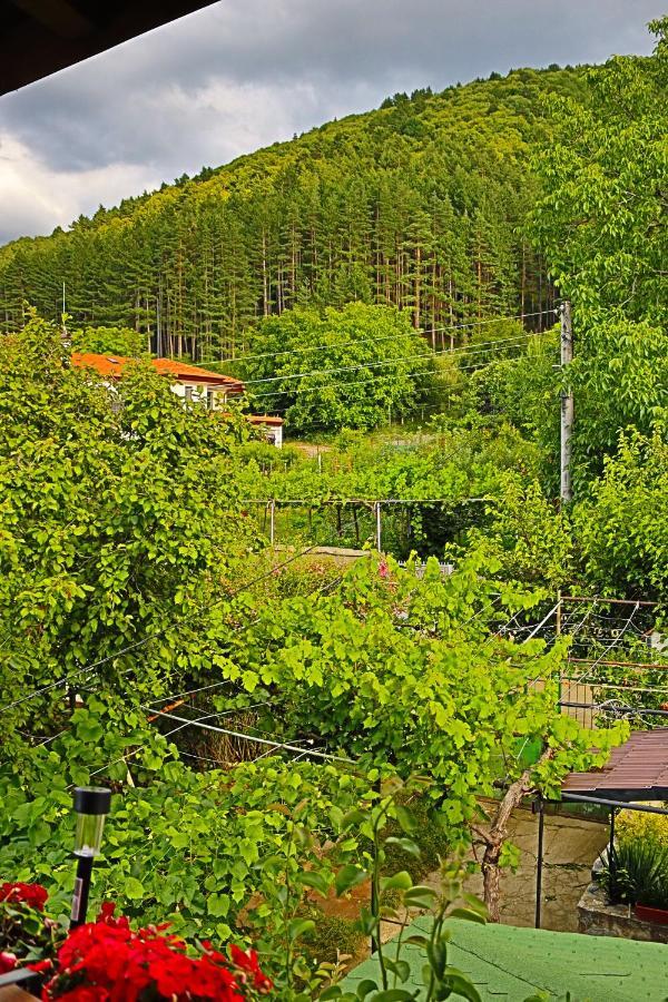 Green House - Попниколови Saparewa Banja Exterior foto